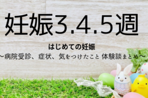 妊娠６週 ７週 ８週目の症状 つわり 仕事 心拍確認など ぽっくるらいふ